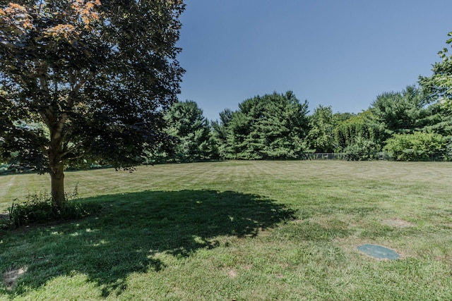 7532 Dell Rd, Saline, MI 48176 - view of green lawn