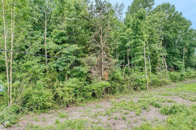 TBD 101st Ave, South Haven, MI 49090 - photo 15