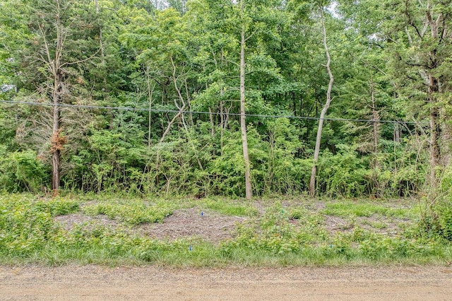 TBD 101st Ave, South Haven, MI 49090 - photo 2