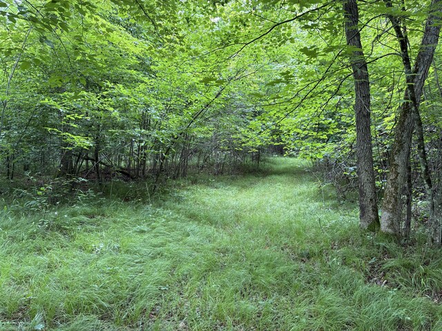 8934 E 48th St Unit B, Newaygo, MI 49337 - photo 2
