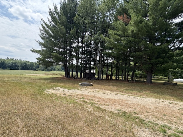 22347 5 Mile Rd, Morley, MI 49336 - view of grassy yard