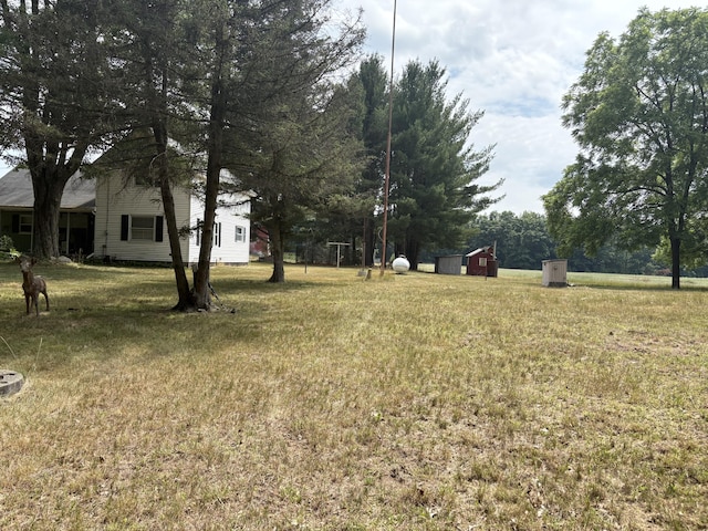 22347 5 Mile Rd, Morley, MI 49336 - view of grassy yard featuring a storage shed