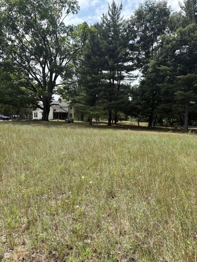 22347 5 Mile Rd, Morley, MI 49336 - view of yard