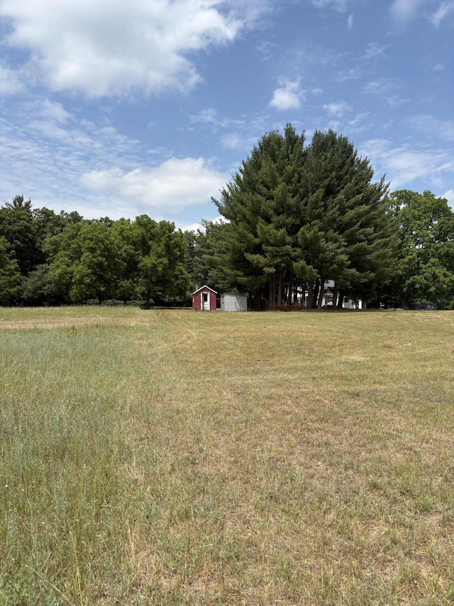 22347 5 Mile Rd, Morley, MI 49336 - view of green lawn featuring a storage unit