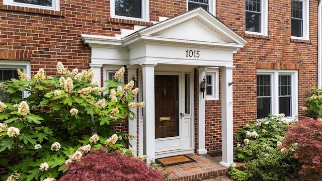 1015 Olivia Ave, Ann Arbor, MI 48104 - photo 3