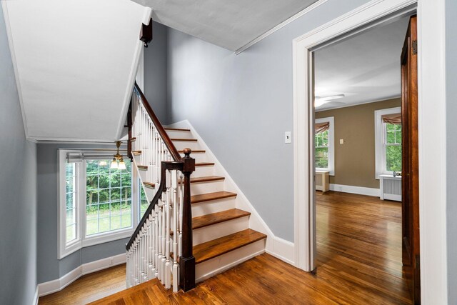 1015 Olivia Ave, Ann Arbor, MI 48104 - photo 21