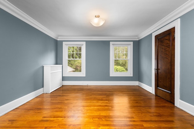1015 Olivia Ave, Ann Arbor, MI 48104 - photo 31