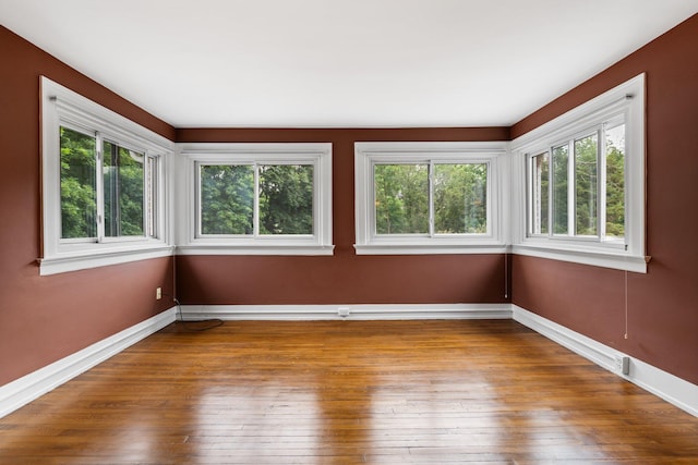 1015 Olivia Ave, Ann Arbor, MI 48104 - photo 41