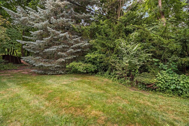 1015 Olivia Ave, Ann Arbor, MI 48104 - photo 58