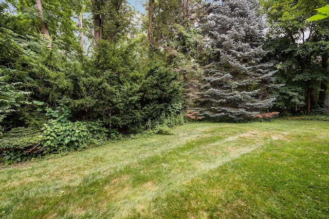 1015 Olivia Ave, Ann Arbor, MI 48104 - photo 59
