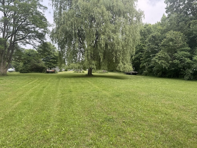 53644 N Fisher Lake Rd, Three Rivers, MI 49093 - photo 8