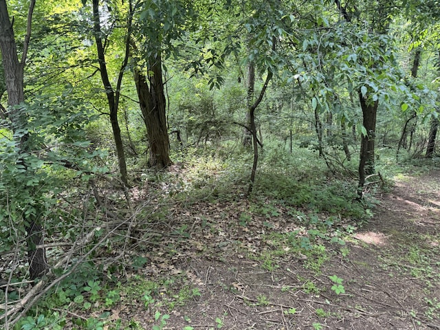 53644 N Fisher Lake Rd, Three Rivers, MI 49093 - photo 11