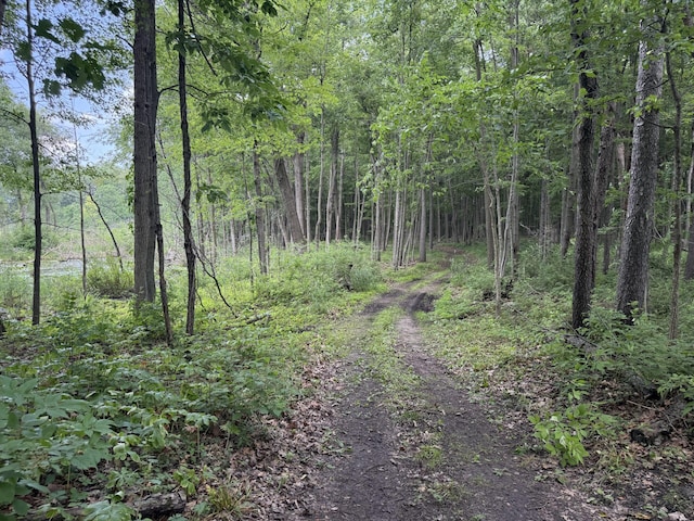3447 Mayberry Ln, Howell, MI 48843
