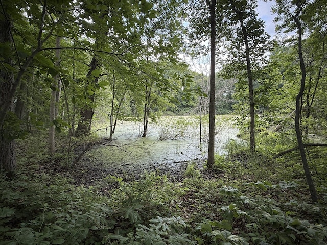 3447 Mayberry Ln, Howell, MI 48843