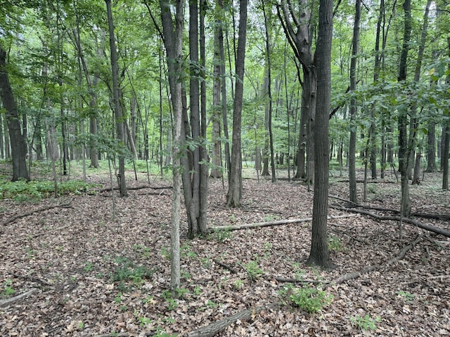 3447 Mayberry Ln, Howell, MI 48843