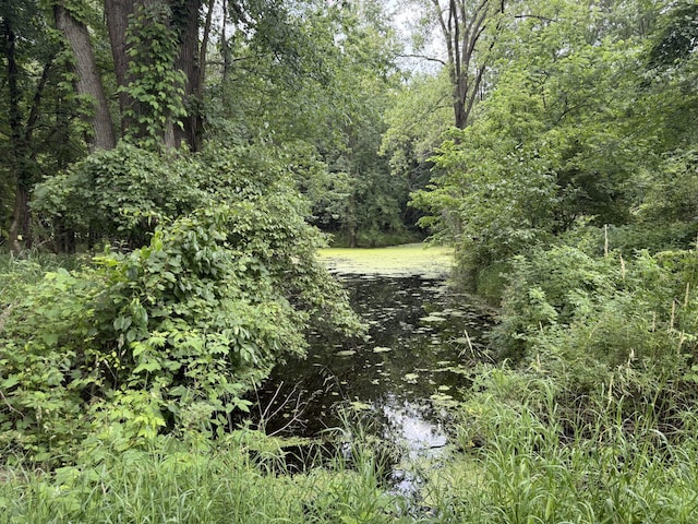 3447 Mayberry Ln, Howell, MI 48843