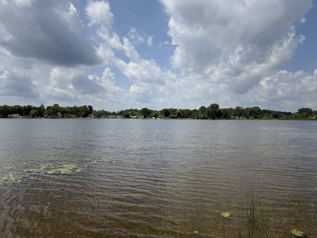 3447 Mayberry Ln, Howell, MI 48843