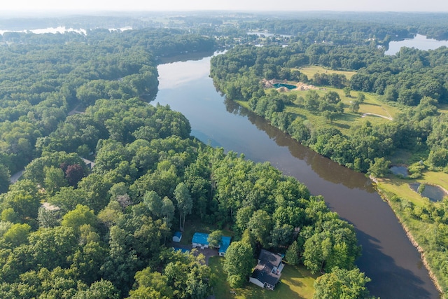 1051 Vallado Dr, Weidman, MI 48893 - aerial view of property's location featuring a nearby body of water and a forest