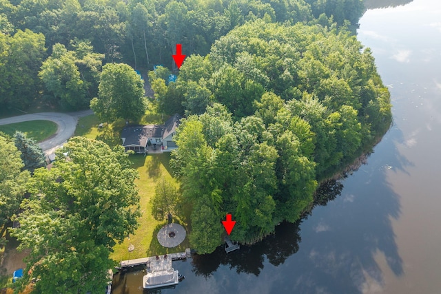 1051 Vallado Dr, Weidman, MI 48893 - aerial view of a nearby body of water