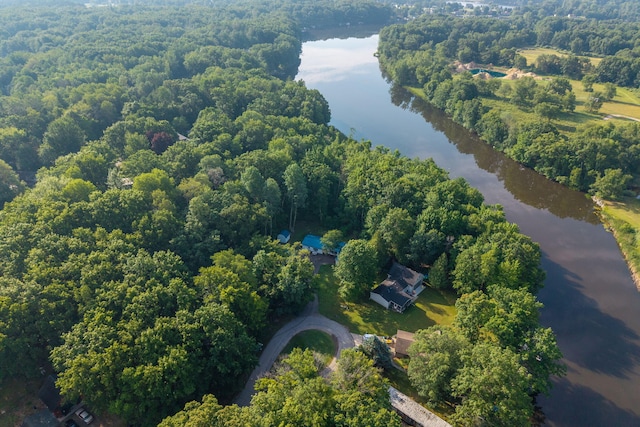 1051 Vallado Dr, Weidman, MI 48893 - view of property location featuring a large body of water and a heavily wooded area