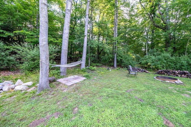 1051 Vallado Dr, Weidman, MI 48893 - view of grassy yard