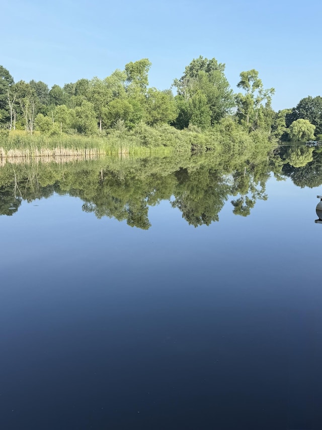 1051 Vallado Dr, Weidman, MI 48893 - water view