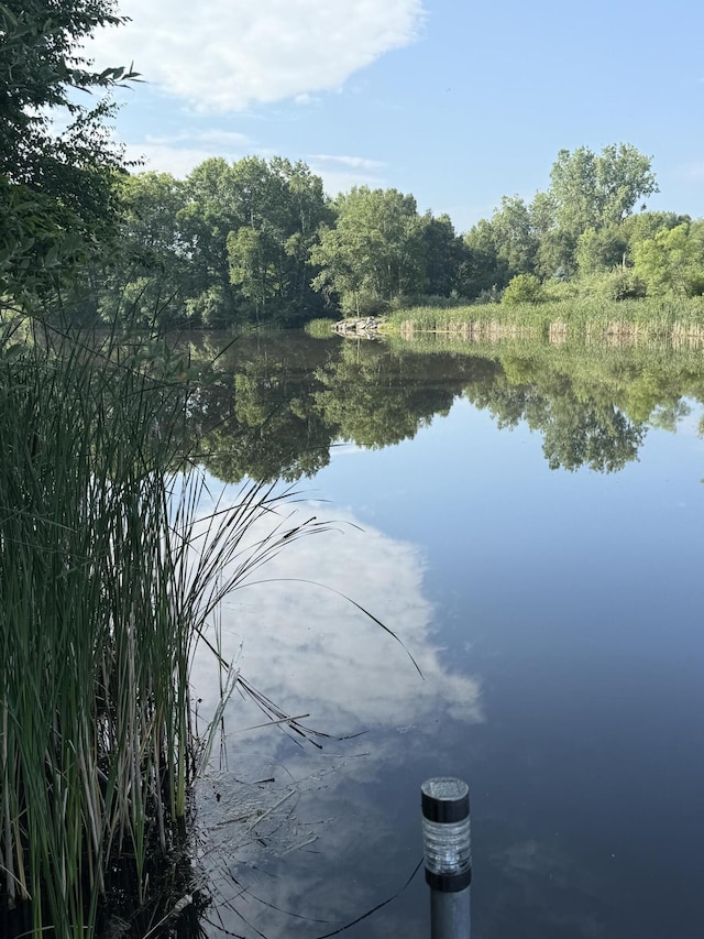 1051 Vallado Dr, Weidman, MI 48893 - water view