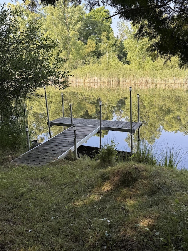 1051 Vallado Dr, Weidman, MI 48893 - dock area with a water view