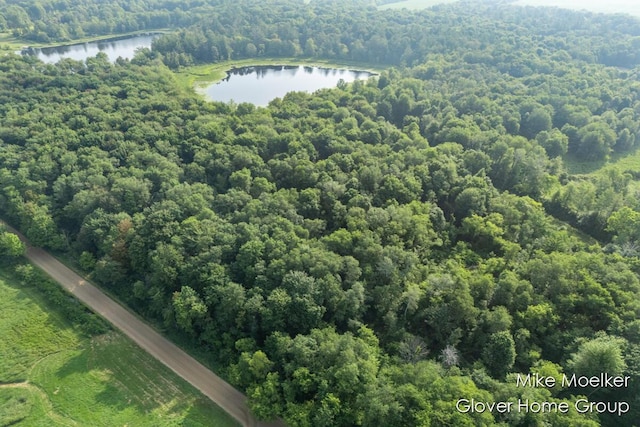 V/L40AC S Brown Rd, Sheridan, MI 48884 - photo 1