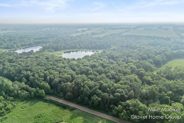 V/L40AC S Brown Rd, Sheridan, MI 48884 - photo 2