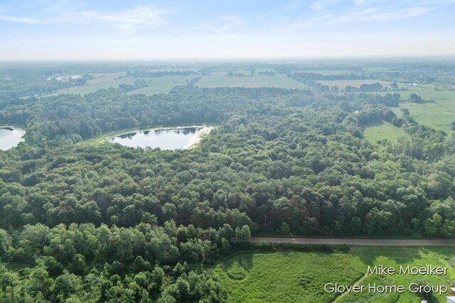 V/L40AC S Brown Rd, Sheridan, MI 48884 - photo 3
