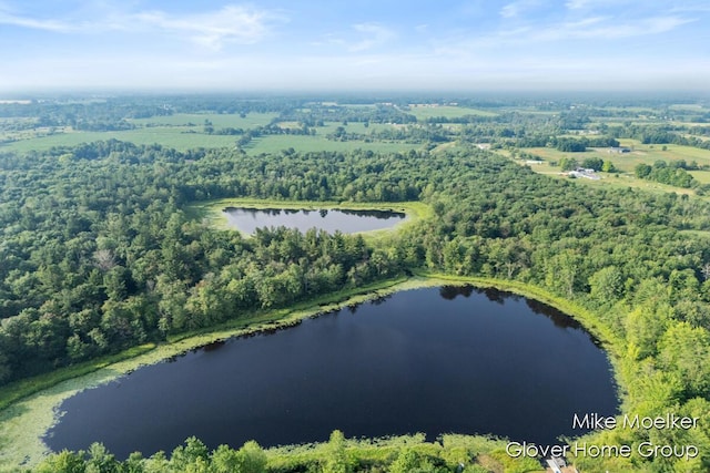 V/L40AC S Brown Rd, Sheridan, MI 48884 - photo 7