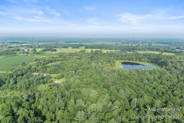 V/L40AC S Brown Rd, Sheridan, MI 48884 - photo 9