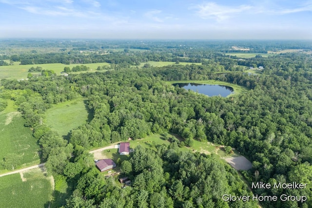 V/L40AC S Brown Rd, Sheridan, MI 48884 - photo 10