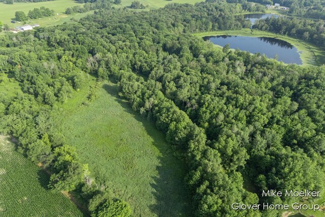 V/L40AC S Brown Rd, Sheridan, MI 48884 - photo 11