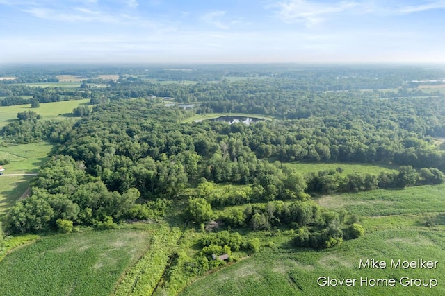 V/L40AC S Brown Rd, Sheridan, MI 48884 - photo 12