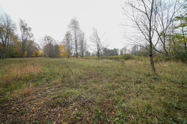 V/L40AC S Brown Rd, Sheridan, MI 48884 - photo 29