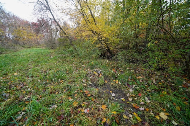 V/L40AC S Brown Rd, Sheridan, MI 48884 - photo 27