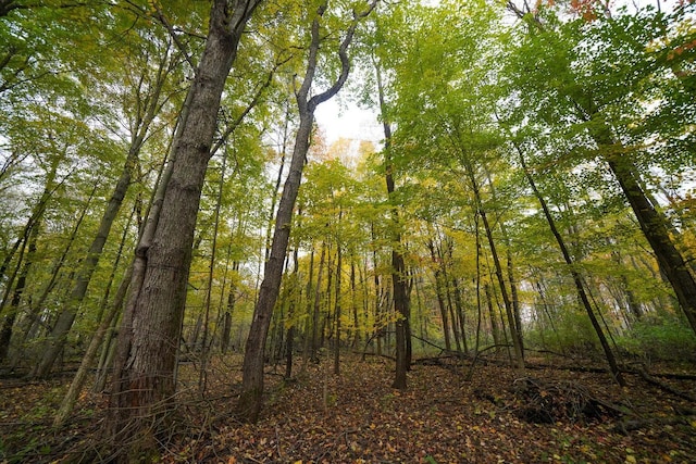 V/L40AC S Brown Rd, Sheridan, MI 48884 - photo 26