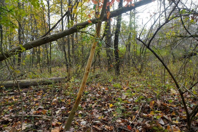 V/L40AC S Brown Rd, Sheridan, MI 48884 - photo 33