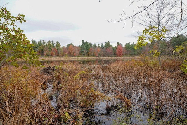 V/L40AC S Brown Rd, Sheridan, MI 48884 - photo 28