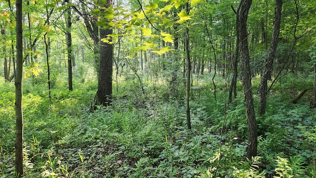 V/L40AC S Brown Rd, Sheridan, MI 48884 - photo 15