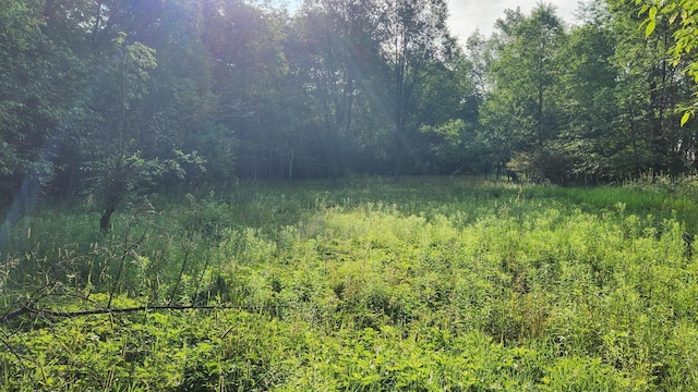 V/L40AC S Brown Rd, Sheridan, MI 48884 - photo 14