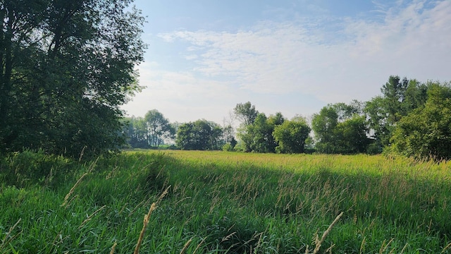 V/L40AC S Brown Rd, Sheridan, MI 48884 - photo 17