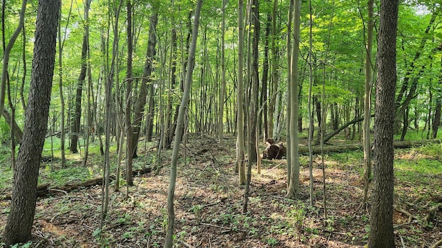 V/L40AC S Brown Rd, Sheridan, MI 48884 - photo 22