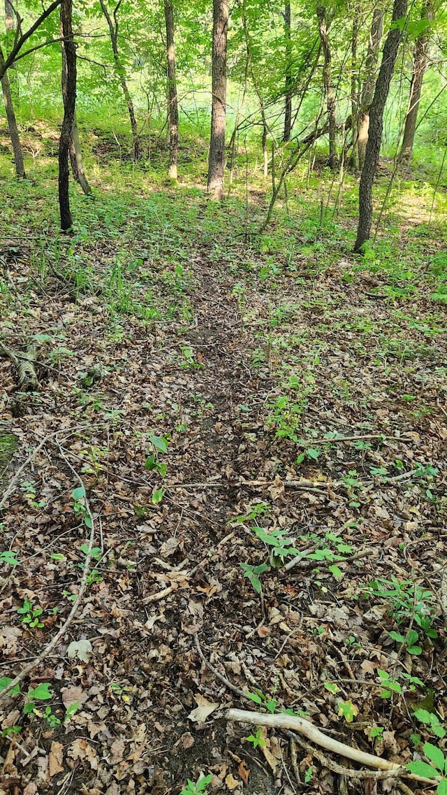 V/L40AC S Brown Rd, Sheridan, MI 48884 - photo 23