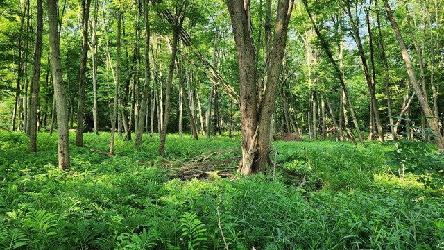 V/L40AC S Brown Rd, Sheridan, MI 48884 - photo 20