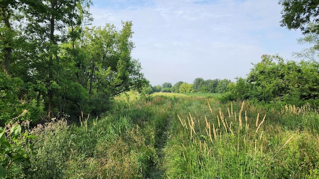 V/L40AC S Brown Rd, Sheridan, MI 48884 - photo 25
