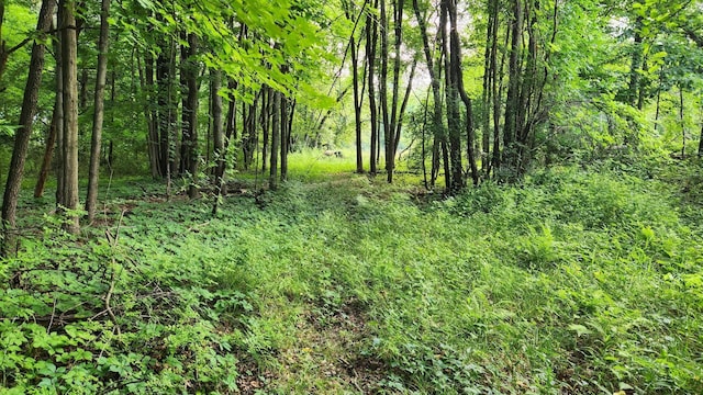 V/L40AC S Brown Rd, Sheridan, MI 48884 - photo 24