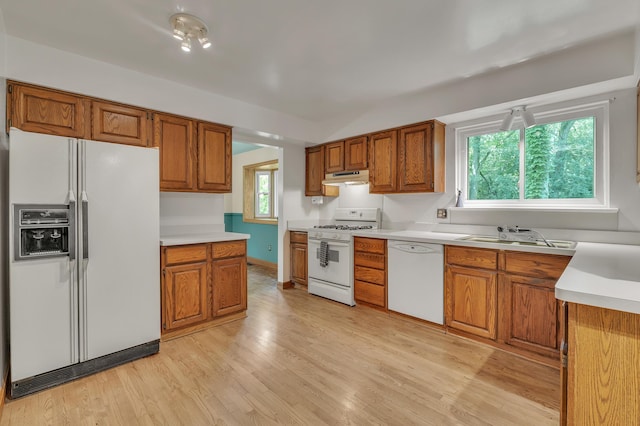 2145 Steeplechase Dr, Ann Arbor, MI 48103 - kitchen with white appliances, under cabinet range hood, brown cabinetry, light wood-style flooring, and light countertops